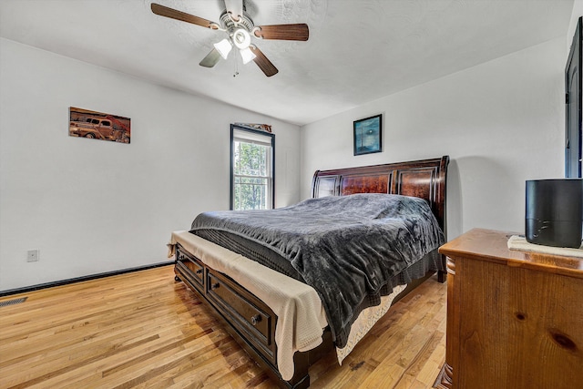 22 Spring Branch Ln, Fincastle, VA 24090 - bedroom featuring light wood finished floors and a ceiling fan