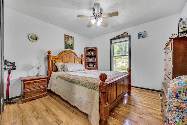 22 Spring Branch Ln, Fincastle, VA 24090 - bedroom featuring light wood-style floors, a ceiling fan, and baseboards