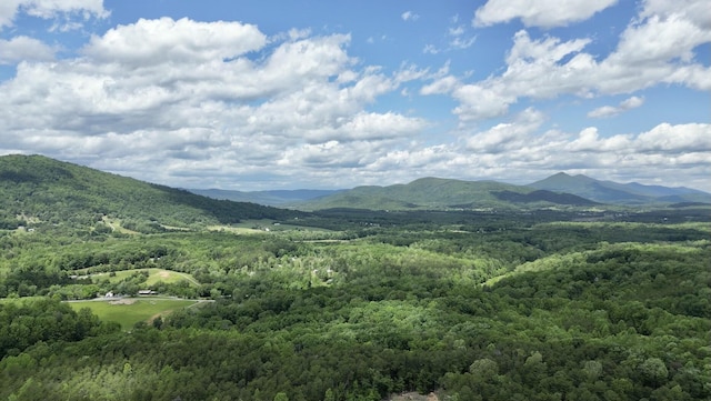 TRACT11 Country Ln, Thaxton, VA 24174