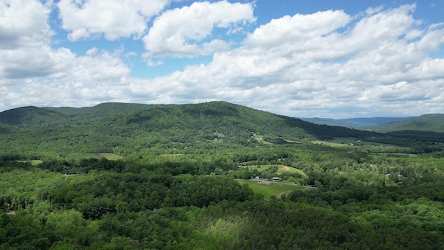 TRACT11 Country Ln, Thaxton, VA 24174