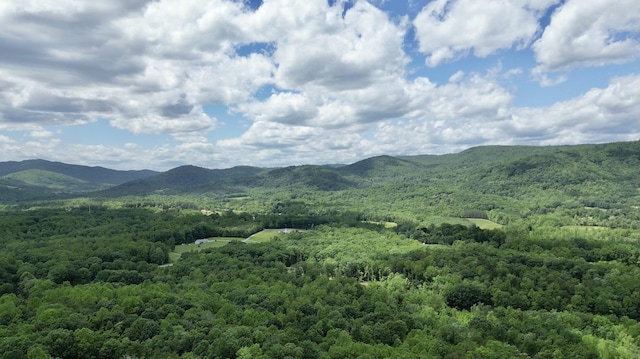 TRACT11 Country Ln, Thaxton, VA 24174