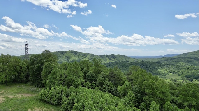 TRACT11 Country Ln, Thaxton, VA 24174