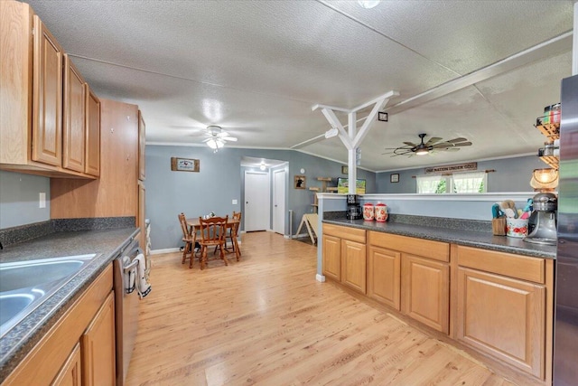 4362 Stewartsville Rd, Moneta, VA 24121 - kitchen with ceiling fan, stainless steel dishwasher, light wood-style floors, a sink, and vaulted ceiling