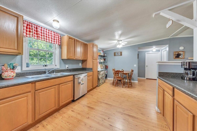 4362 Stewartsville Rd, Moneta, VA 24121 - kitchen with dishwasher, a sink, light wood-type flooring, a ceiling fan, and a textured ceiling