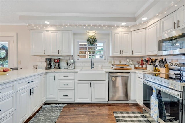 1028 Park Mountain Ter, Huddleston, VA 24104 - kitchen with stainless steel appliances, a sink, crown molding, dark wood-type flooring, and tasteful backsplash