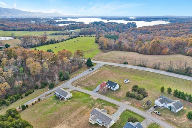 1028 Park Mountain Ter, Huddleston, VA 24104 - overview of rural landscape with a large body of water and a pastoral area