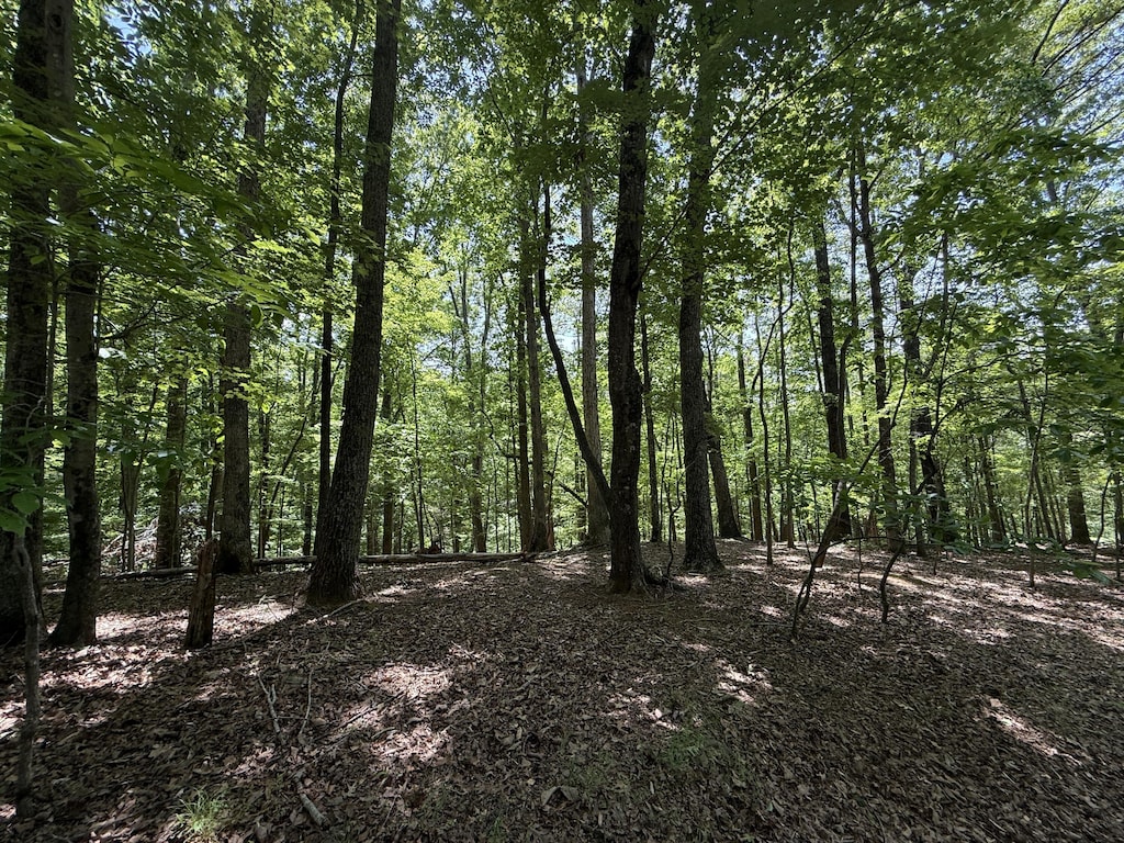 LOT53 Hickory Woods Ln, Hardy, VA 24101