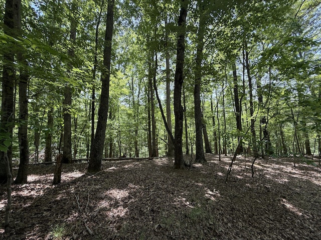 LOT53 Hickory Woods Ln, Hardy, VA 24101