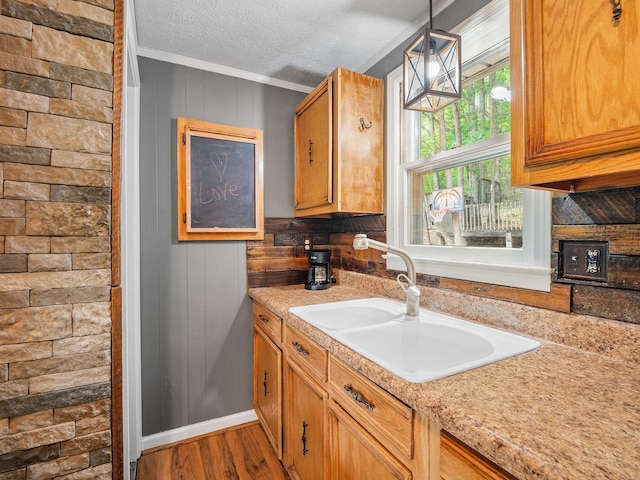 6357 Breckinridge Mill Rd, Fincastle, VA 24090 - kitchen featuring crown molding, a sink, wood finished floors, light countertops, and hanging light fixtures