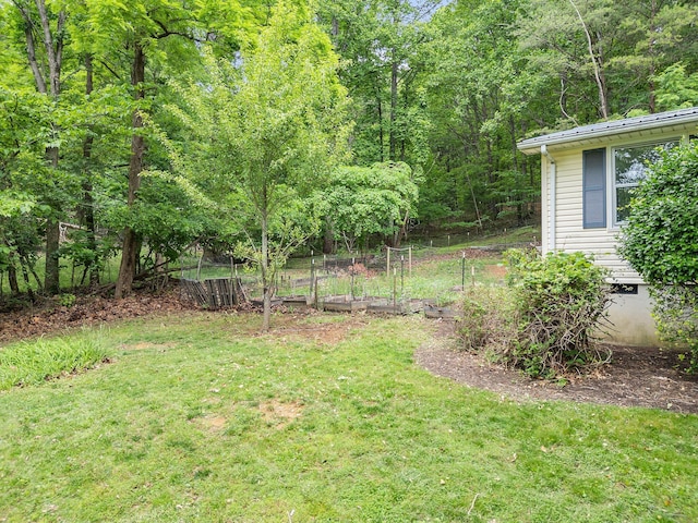 6357 Breckinridge Mill Rd, Fincastle, VA 24090 - view of grassy yard featuring a garden and a view of trees