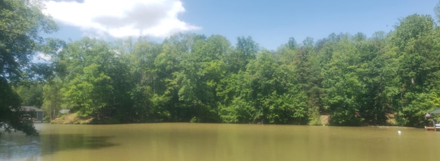 0 Bridgewater Ln, Moneta, VA 24121