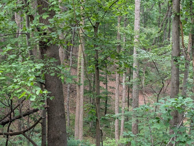 0 Bousman Cir, Hardy, VA 24101