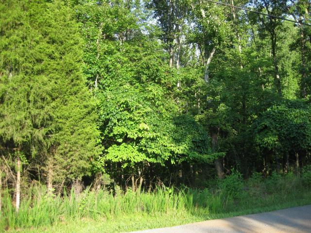 LOT32 Old Mill Dr, Hardy, VA 24101