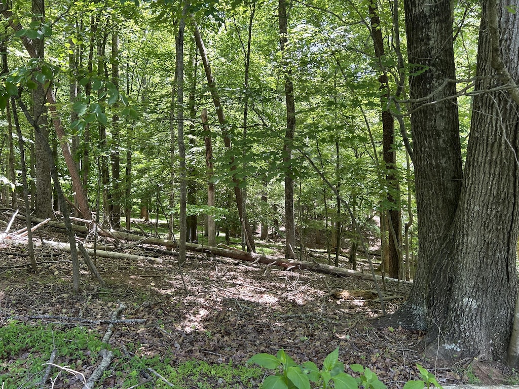 LOT40 Old Mill Dr, Hardy, VA 24101