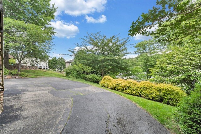 610 Crystal Anne Ln, Roanoke, VA 24019 - view of asphalt driveway