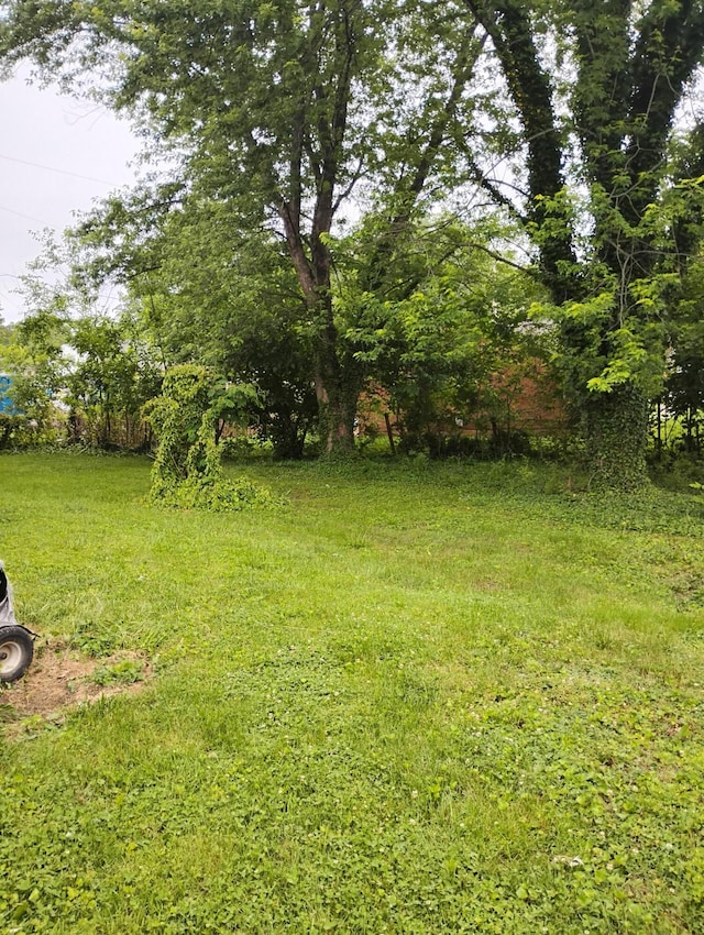 1414 Westside Blvd NW, Roanoke, VA 24017 - view of yard
