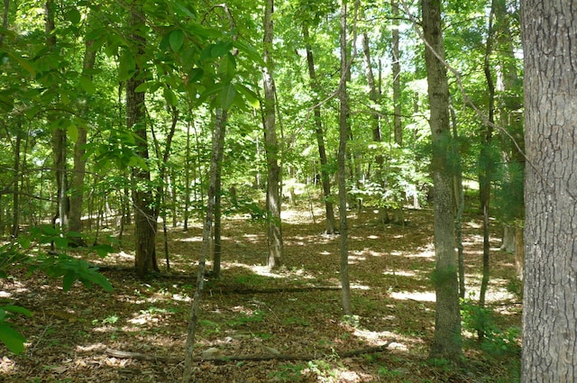 0 Givens Tyler Rd, Salem, VA 24153