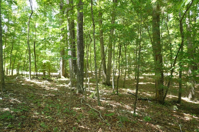 0 Givens Tyler Rd, Salem, VA 24153