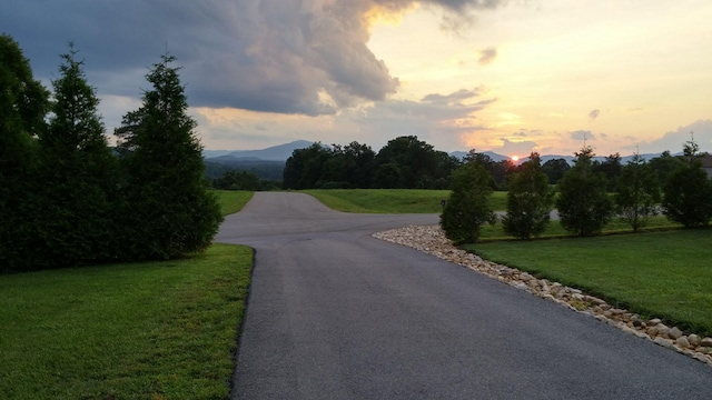 120 Nyle Ridge Rd, Wirtz, VA 24184 - view of asphalt street