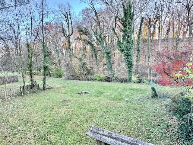 816 Brandon Ave SW, Roanoke, VA 24015 - view of yard
