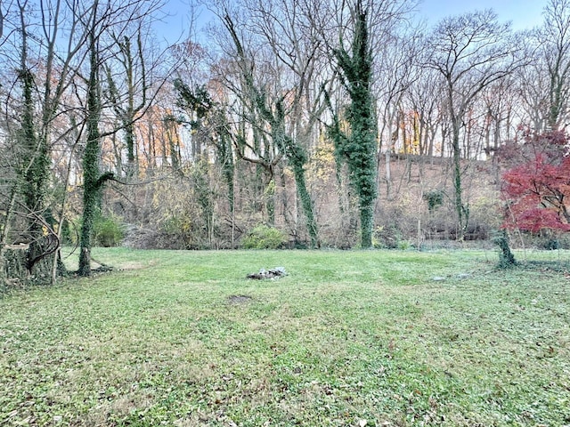 816 Brandon Ave SW, Roanoke, VA 24015 - view of grassy yard