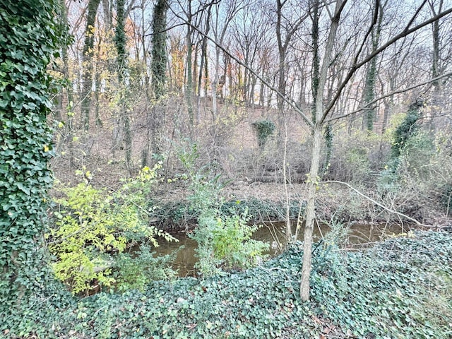 816 Brandon Ave SW, Roanoke, VA 24015 - view of undeveloped land