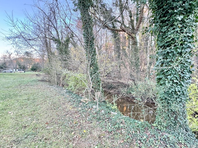 816 Brandon Ave SW, Roanoke, VA 24015 - view of undeveloped land