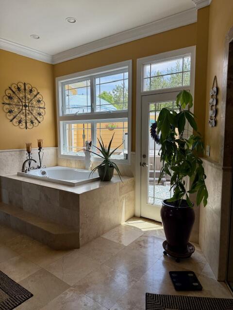 1038 Lees Mill Ln, Goode, VA 24556 - bathroom featuring crown molding, plenty of natural light, and a bath