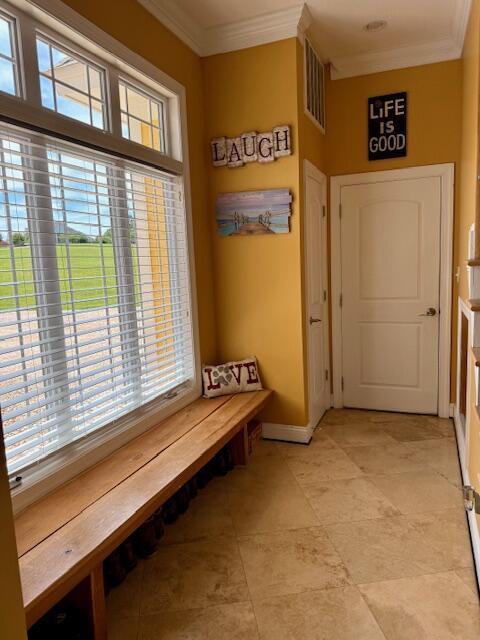 1038 Lees Mill Ln, Goode, VA 24556 - mudroom featuring ornamental molding and baseboards