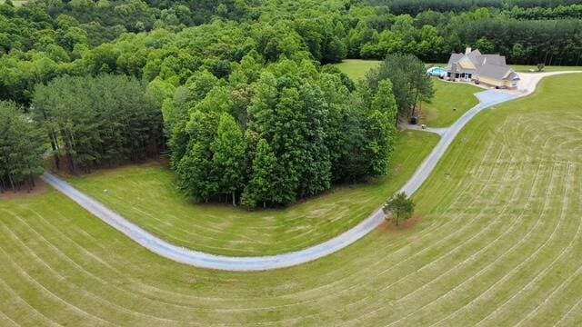 1038 Lees Mill Ln, Goode, VA 24556 - view of subject property featuring a forest