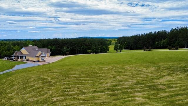 1038 Lees Mill Ln, Goode, VA 24556 - view of property's community featuring a forest view and a yard