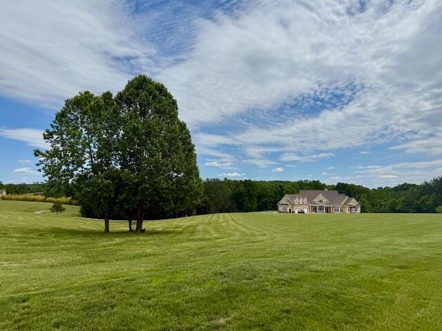 1038 Lees Mill Ln, Goode, VA 24556 - view of grassy yard