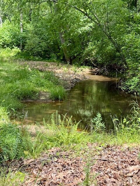 1038 Lees Mill Ln, Goode, VA 24556 - view of nature