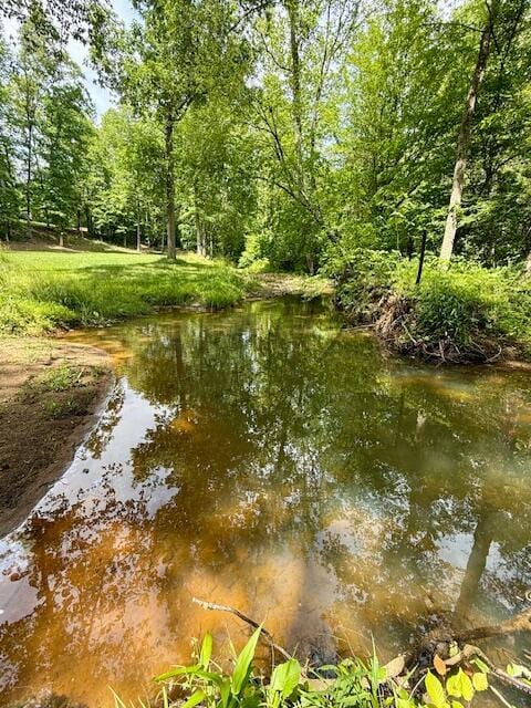 1038 Lees Mill Ln, Goode, VA 24556 - water view