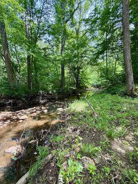 1038 Lees Mill Ln, Goode, VA 24556 - view of local wilderness