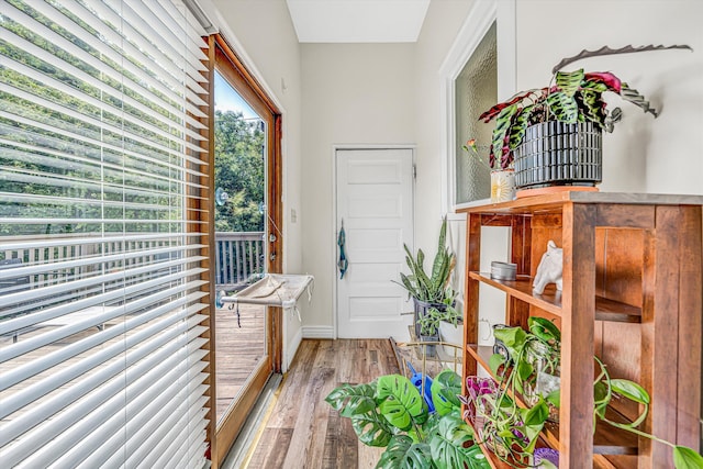 602 Allison Ave SW, Roanoke, VA 24016 - doorway with wood finished floors and baseboards