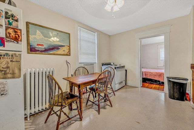 602 Allison Ave SW, Roanoke, VA 24016 - dining area with radiator