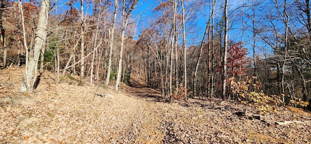 0 Briar Mountain Rd, Rocky Mount, VA 24151