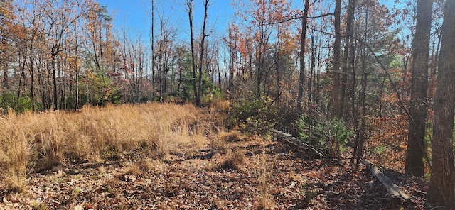 0 Briar Mountain Rd, Rocky Mount, VA 24151