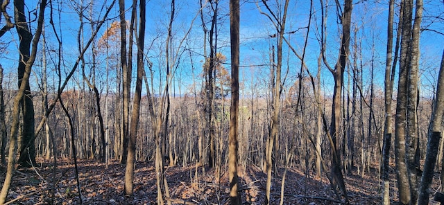 0 Briar Mountain Rd, Rocky Mount, VA 24151