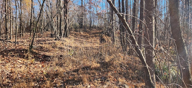 0 Briar Mountain Rd, Rocky Mount, VA 24151