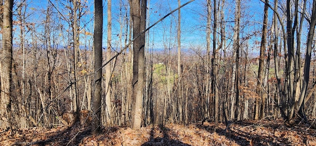 0 Briar Mountain Rd, Rocky Mount, VA 24151