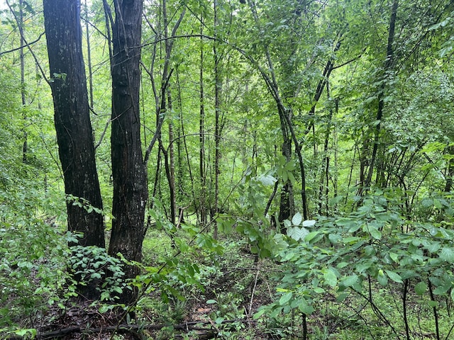 0 Nemmo Rd, Vinton, VA 24179