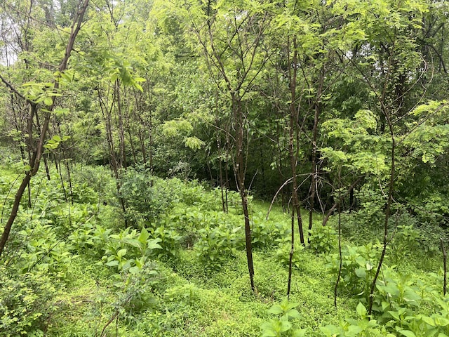 0 Nemmo Rd, Vinton, VA 24179