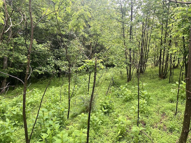 0 Nemmo Rd, Vinton, VA 24179