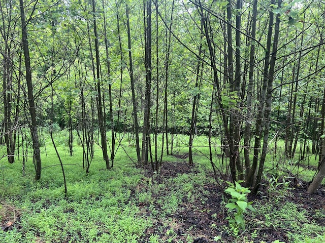 0 Nemmo Rd, Vinton, VA 24179