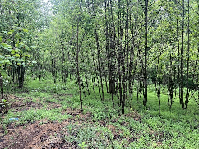 0 Nemmo Rd, Vinton, VA 24179
