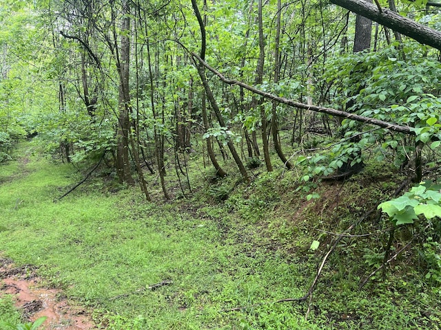 0 Nemmo Rd, Vinton, VA 24179