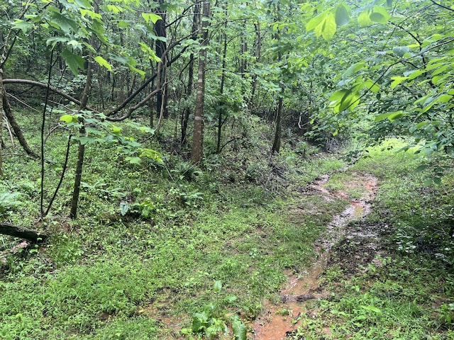 0 Nemmo Rd, Vinton, VA 24179