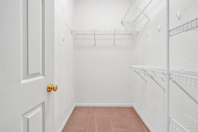 3303 Belshire Ct SW, Roanoke, VA 24014 - walk in closet with light carpet